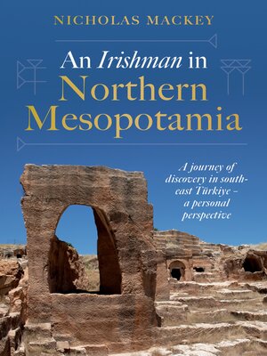 cover image of An Irishman in Northern Mesopotamia